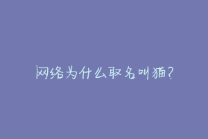 网络为什么取名叫猫?