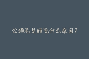 公猫老是睡觉什么原因?