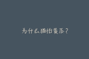 为什么猫怕黄瓜?
