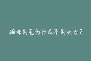猫咪剃毛为什么不剃头发?