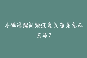 小猫活蹦乱跳过度兴奋是怎么回事?