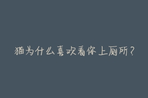 猫为什么喜欢看你上厕所？