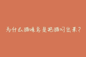 为什么猫咪总是把猫叼出来？