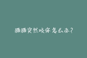 猫猫突然咬你怎么办？