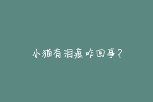 小猫有泪痕咋回事?