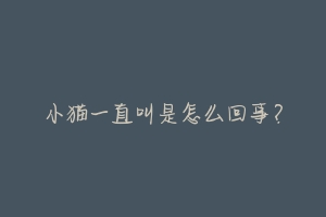 小猫一直叫是怎么回事?