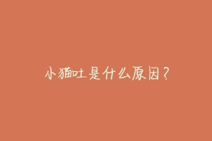 小猫吐是什么原因?