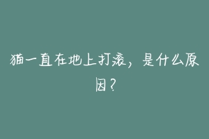 猫一直在地上打滚,是什么原因?