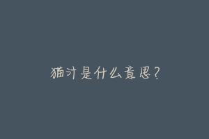 猫汁是什么意思?