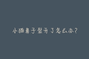 小猫鼻子裂开了怎么办?