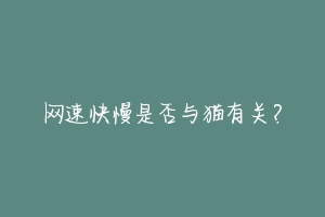 网速快慢是否与猫有关？