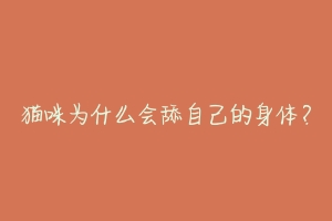 猫咪为什么会舔自己的身体？