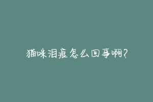 猫咪泪痕怎么回事啊?