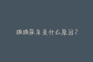 猫猫尿床是什么原因?