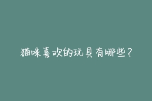 猫咪喜欢的玩具有哪些？