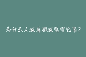 为什么人越看猫越觉得它萌？