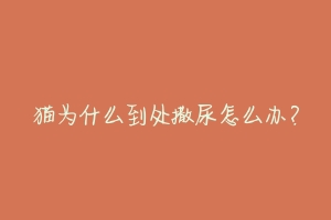 猫为什么到处撒尿怎么办？