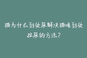 猫为什么到处尿解决猫咪到处拉尿的方法?
