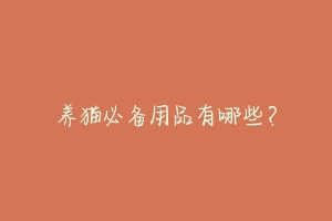 养猫必备用品有哪些?