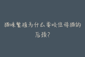 猫咪繁殖为什么要咬住母猫的后颈?
