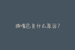 猫嘴巴臭什么原因?