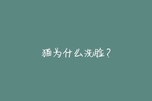 猫为什么洗脸?
