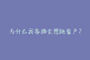 为什么我家猫会想跳窗户?