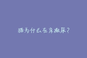猫为什么在床撒尿?