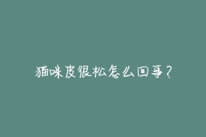 猫咪皮很松怎么回事?