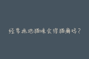 经常拖地猫咪会得猫癣吗?