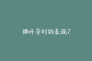 猫怀孕时的表现?
