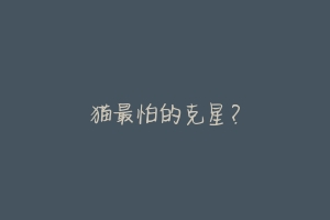 猫最怕的克星?