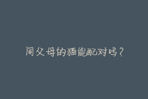 同父母的猫能配对吗?