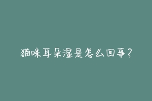 猫咪耳朵湿是怎么回事?