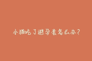小猫吃了避孕套怎么办？