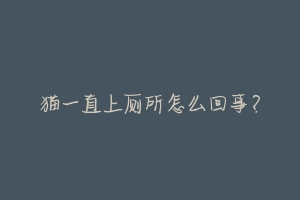 猫一直上厕所怎么回事?