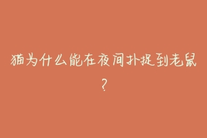 猫为什么能在夜间扑捉到老鼠?