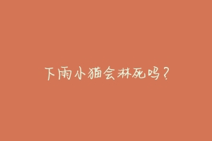 下雨小猫会淋死吗?
