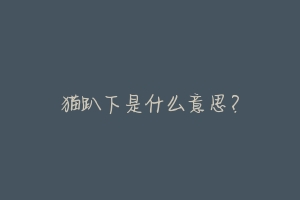 猫趴下是什么意思?