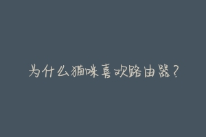为什么猫咪喜欢路由器?