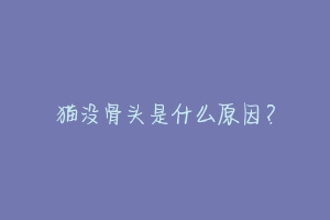 猫没骨头是什么原因?