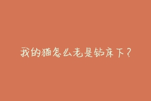 我的猫怎么老是钻床下?
