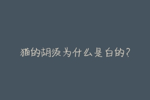 猫的胡须为什么是白的?