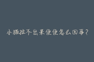 小猫拉不出来便便怎么回事？