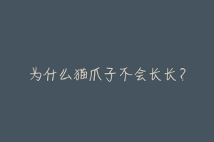 为什么猫爪子不会长长?