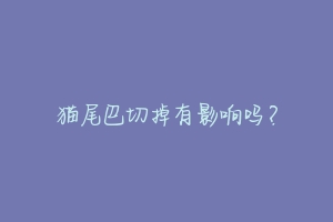 猫尾巴切掉有影响吗?