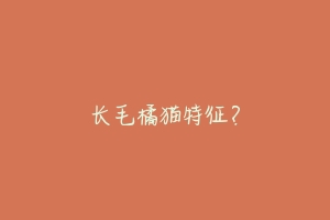 长毛橘猫特征?