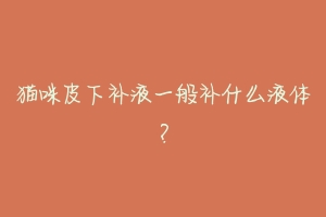 猫咪皮下补液一般补什么液体?