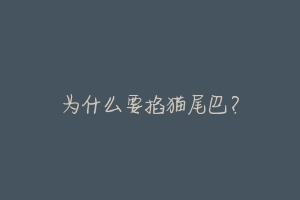 为什么要掐猫尾巴?
