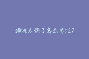 猫咪太热了怎么降温?